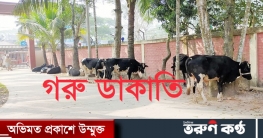 চরভদ্রাসনে ৭ লক্ষ টাকা মূল্যের গরু ডাকাতি