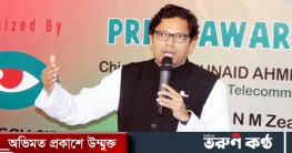 বাংলাদেশ হবে সাইবার সিকিউরিটি প্রোভাইডিং হাব: পলক