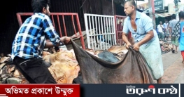 কোরবানির পশুর চামড়ার মূল্য নির্ধারণ কোরবানির পশুর চামড়ার মূল্য নির্ধারণ