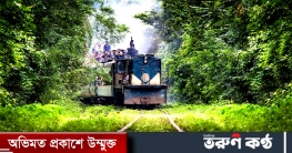 আগামীকাল খুলছে মৌলভীবাজার লাউয়াছড়া জাতীয় উদ্যান