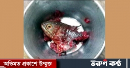ফরিদপুরে গলার মধ্যে কৈ মাছ আটকে যুবকের মৃত্যু