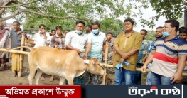দেওয়ানগঞ্জে ‘কাজ’ প্রকল্পের গরু বিতরণ কার্যক্রম অব্যাহত দেওয়ানগঞ্জে ‘কাজ’ প্রকল্পের গরু বিতরণ কার্যক্রম অব্যাহত