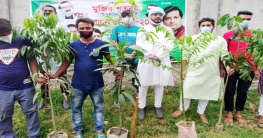 টঙ্গী পশ্চিম থানা যুবলীগের উদ্যোগে বৃক্ষরোপন কর্মসূচী পালিত