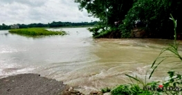 ফরিদপুরে বন্যা নিয়ন্ত্রণ বাঁধের প্রায় ৫০ মিটার অংশ ধ্বসে গেছে