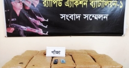 গাজীপুরে গাঁজাসহ আটক-১