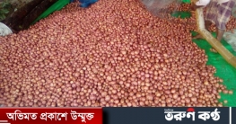 পাঁচবিবিতে আলুর বাম্পার ফলন পাঁচবিবিতে আলুর বাম্পার ফলন