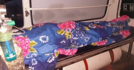 কুমিল্লায় ছোট ভাইকে পিটিয়ে হত্যার অভিযোগে বড় ভাই আটক