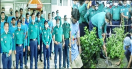 জি এম পির বৃক্ষরোপন কর্মসূচী পালন