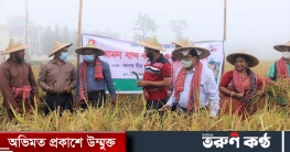 অগ্রহায়নের প্রথম দিনে নবান্ন উৎসব শুরু