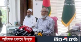 ভোটের পরিবেশ শতভাগ অনুকূলে: ইসি আনোয়ারুল ইসলাম