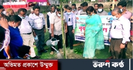 নদী ভাঙ্গন ও মাটির ক্ষয়রোধ করার জন্য বেশি বেশি করে গাছ লাগাতে হবে