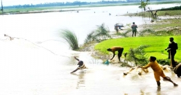 নওগাঁর আত্রাইয়ে বন্যার পানিতে জেলেদের মাছ শিকারের ধুম পড়েছে