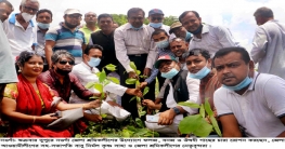মুজিব বর্ষ উপলক্ষে নওগাঁয় শ্রমিকলীগের বৃক্ষ রোপন