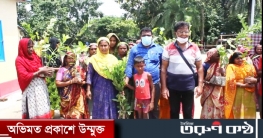 নওগাঁয় আশ্রয়ন প্রকল্প চত্ত্বরে বৃক্ষরোপণ কর্মসূচী পালিত নওগাঁয় আশ্রয়ন প্রকল্প চত্ত্বরে বৃক্ষরোপণ কর্মসূচী পালিত