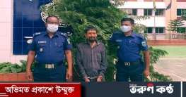 নওগাঁর নিয়ামতপুরে গাঁজার গাছসহ মাদক ব্যবসায়ী আটক