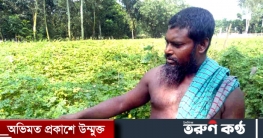 নওগাঁর কৃষক জলিল করলা চাষে সফল