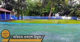 নওগাঁর বাড়ির আঙ্গিনায় এখন আমনের বীজতলা