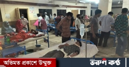 ধান কাটতে গিয়ে লাশ হয়ে ফিরল ডোমারের ২ কৃষি শ্রমিক