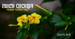 খোলা বাতায়ন - সাজেদা পারভিন সাজু