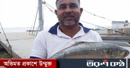 পদ্মার এক ইলিশ বিক্রি ৬,৮৪০ টাকায়