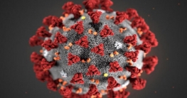 দেশে আরও ১৩ জন করোনা শনাক্ত