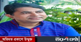 ইবি অধ্যাপকের ছড়াগ্রন্থ প্রকাশ