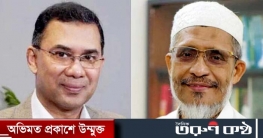 ২১ আগস্ট গ্রেনেড হামলা: তারেক-বাবরের খালাসের রায় আপিলেও বহাল