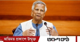 বর্তমানে ভারতের বিশেষত্ব ভুয়া খবর: প্রধান উপদেষ্টা