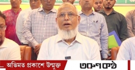 পিআর দাবি ও প্রতীক জটিলতা নির্বাচনে প্রভাব ফেলবে না: ইসি আনোয়ার