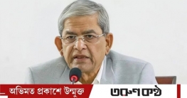 ফেব্রুয়ারিতেই নির্বাচন, প্রধান উপদেষ্টাও সহযোগিতা করছেন