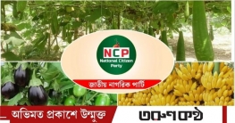 এনসিপিকে বেগুন-কলা-লাউসহ ৫০ প্রতীকের অপশন দিল ইসি