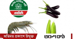 বেগুন, লাউ, চিংড়ি ছাড়াও এনসিপির অপশনে আছে আরো যেসব প্রতীক বেগুন, লাউ, চিংড়ি ছাড়াও এনসিপির অপশনে আছে আরো যেসব প্রতীক