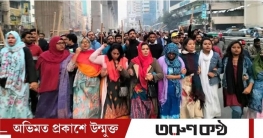 বিএনপি আসন ছাড়লেও মিত্রদের ভয় স্বতন্ত্র নিয়ে