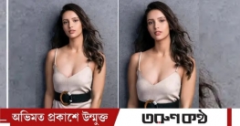 নতুন চমক দিতে তৈরি ‘অ্যানিমেল’ সিনেমার তৃপ্তি