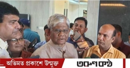 ফেব্রুয়ারির মধ্যেই ফিরতে পারে পাচার হওয়া অর্থের একটি অংশ