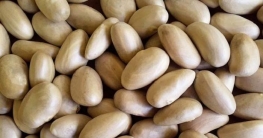 কাঁঠালের বিচি কেন খাবেন?