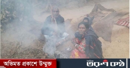 শীতের তীব্রতায় কাবু চা-শ্রমিকরা শীতের তীব্রতায় কাবু চা-শ্রমিকরা