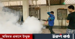 মশা মারলে মিলবে স্বর্ণপদক!