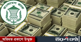 রিজার্ভ এখন ৪৬ বিলিয়ন ডলার রিজার্ভ এখন ৪৬ বিলিয়ন ডলার