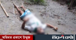 চাটখিলে পল্লী বিদ্যুতের ছেঁড়া তারে জড়িয়ে একজনের মৃত্যু