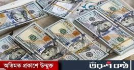 বেনাপোলে ডলার সহ নারী পাসপোর্ট যাত্রী আটক 