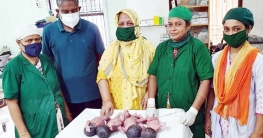 জামালপুরে একসঙ্গে ৪ সন্তানের জন্ম