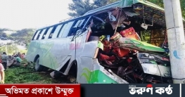 বিদ্যুতের খুঁটির সঙ্গে পিকনিকের বাসের ধাক্কা, নিহত ২