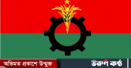 ভোটে অনিয়ম, সুবিধাজনক সময়ে বিক্ষোভ করবে বিএনপি