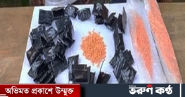 রাজধানীতে ইয়াবাসহ ২ মাদক ব্যবসায়ী গ্রেফতার