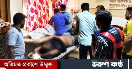 সড়কে ত্রিমুখী সংঘর্ষে একই পরিবারের ৪ জন নিহত