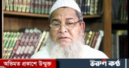 হেফাজতের নেতৃত্বে আসছেন কে?