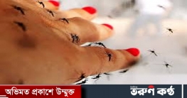 আরও ৩ ডেঙ্গু রোগী হাসপাতালে আরও ৩ ডেঙ্গু রোগী হাসপাতালে