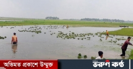 বাড়ছে নদ-নদীর পানি, নতুন করে ডুবছে বোরো ফসল বাড়ছে নদ-নদীর পানি, নতুন করে ডুবছে বোরো ফসল