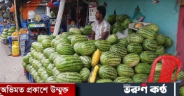 সিন্ডিকেটের কারণে মোংলায় তরমুজের দাম আকাশ ছোঁয়া